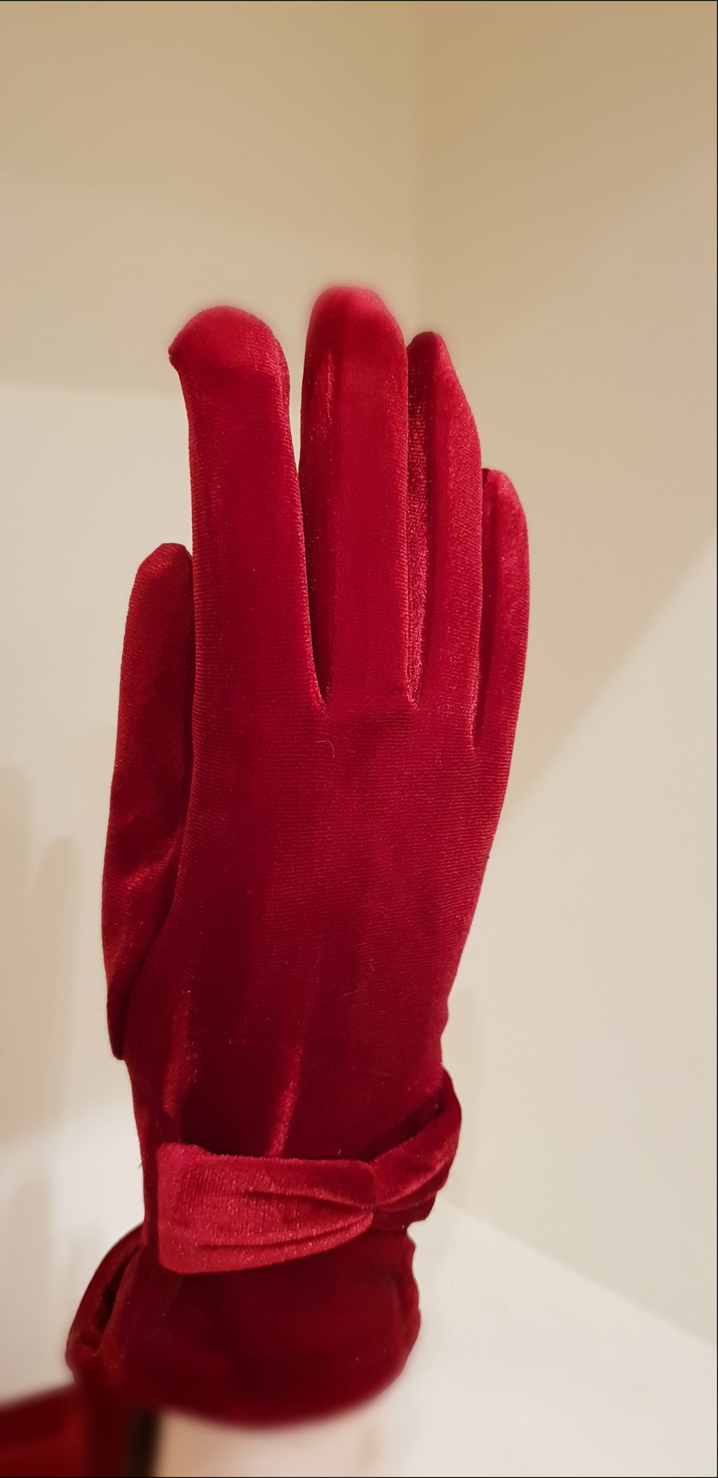 Guanti in Velluto