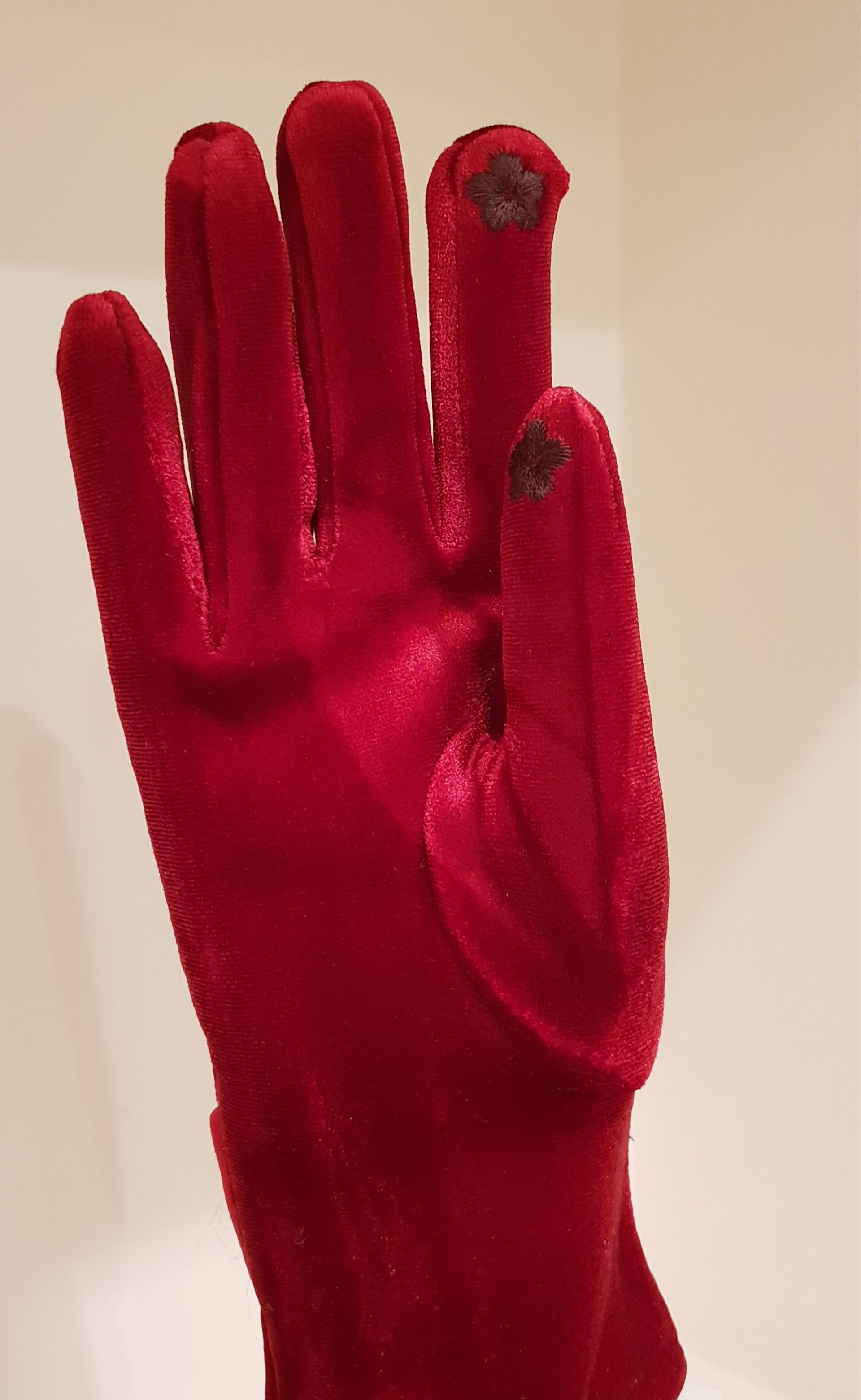 Guanti in Velluto