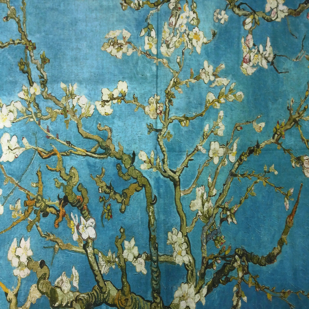 Sciarpa Ramo di mandorlo fiorito V. Van Gogh